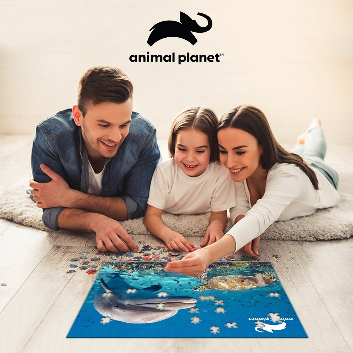 Prime 3D Animal Planet Dolphin & Turtle 500 Piece Puzzle - John Adams