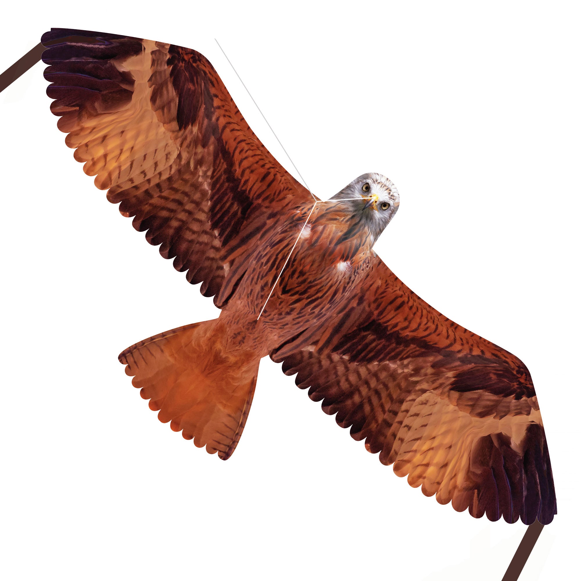 Brookite Red Kite Kite