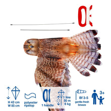 Brookite Kestrel Fun Kite - John Adams