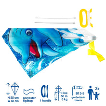 Brookite Dolphin Fun Kite - John Adams