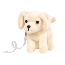 Golden Retriever Pup - John Adams