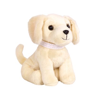 Golden Retriever Pup