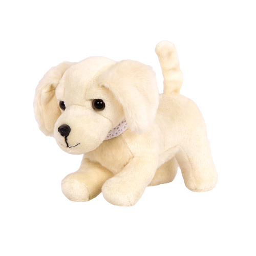 Golden Retriever Pup