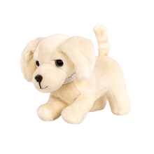Golden Retriever Pup - John Adams