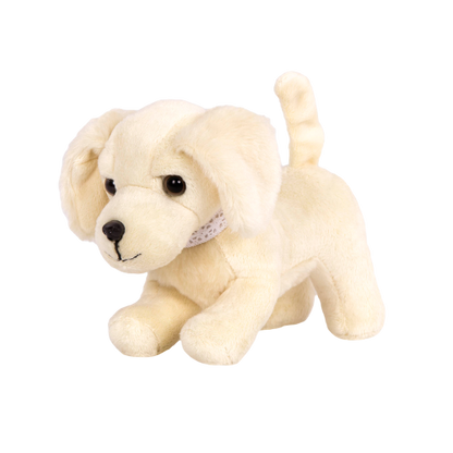 Golden Retriever Pup