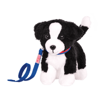 Border Collie Pup - John Adams