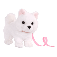 American Eskimo Pup - John Adams