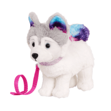 Siberian Husky - John Adams