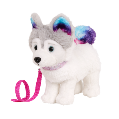 Siberian Husky