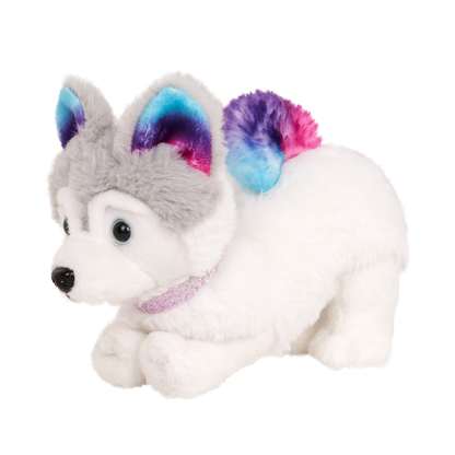 Siberian Husky