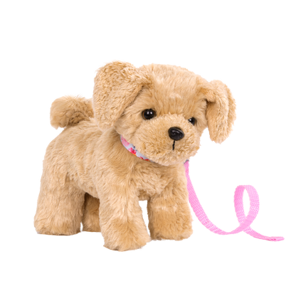 Goldendoodle Pup