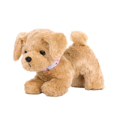 Goldendoodle Pup