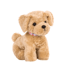 Goldendoodle Pup - John Adams