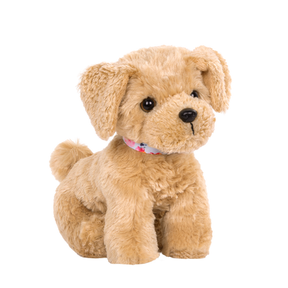 Goldendoodle Pup